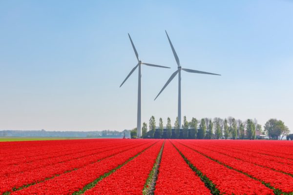 Renewable Energy Strategy
