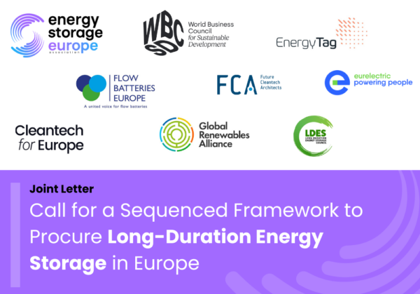 Joint Letter Calling for a Sequenced Framework to Procure Long-Duration Energy Storage in Europe