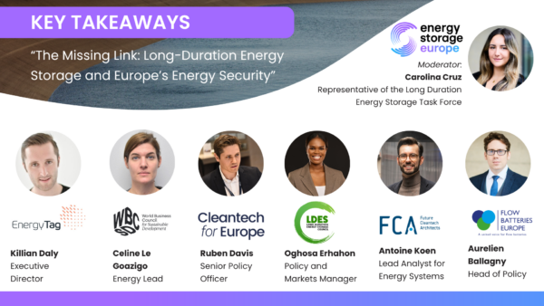 Insights from Webinar: Long-Duration Energy Storage and the Future of Europe’s Energy Security
